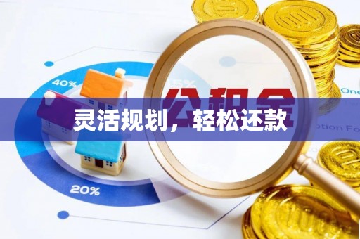 峡江灵活规划，轻松还款
