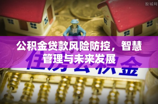 峡江公积金贷款风险防控，智慧管理与未来发展