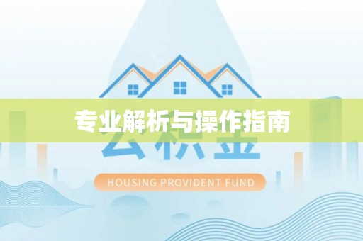 峡江专业解析与操作指南