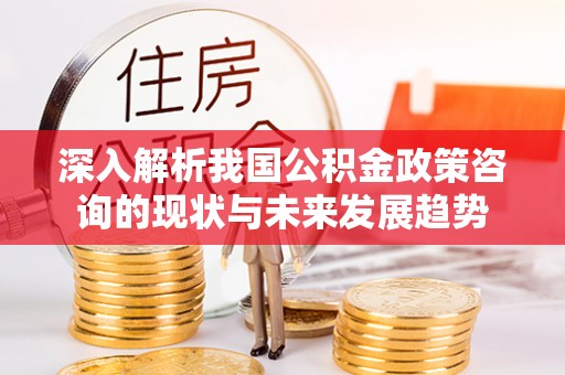 峡江深入解析我国公积金政策咨询的现状与未来发展趋势