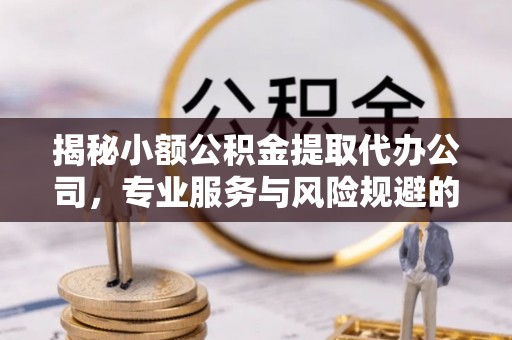 峡江揭秘小额公积金提取代办公司，专业服务与风险规避的平衡艺术