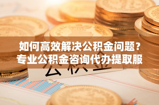 峡江如何高效解决公积金问题？专业公积金咨询代办提取服务来帮你