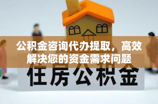 峡江公积金咨询代办提取，高效解决您的资金需求问题