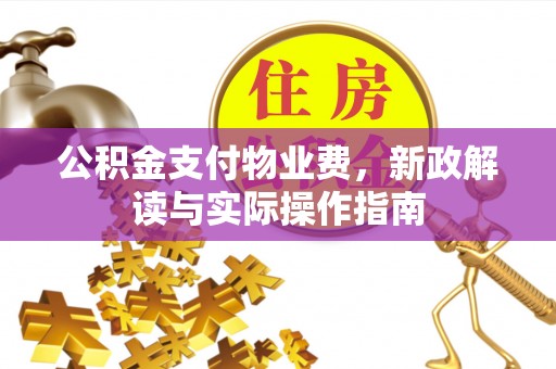 峡江公积金支付物业费，新政解读与实际操作指南
