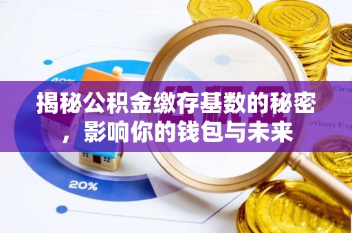 峡江揭秘公积金缴存基数的秘密，影响你的钱包与未来