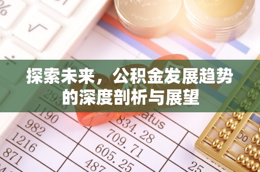 峡江探索未来，公积金发展趋势的深度剖析与展望